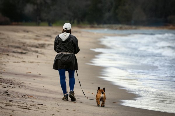 Quelles sont les techniques pour encourager un chien réticent à boire suffisamment d'eau ?